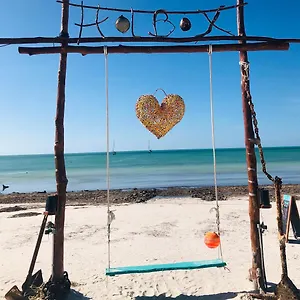 hostal-holbox.quintano-roohotels.com/